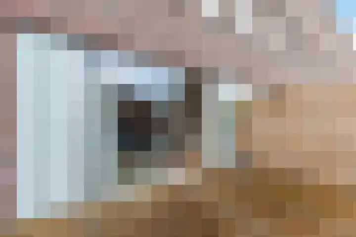 Maria Austriastraat 31 Amsterdam thumbnail 39