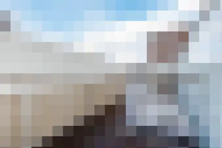 Maria Austriastraat 31 Amsterdam thumbnail 7