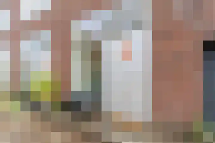 Maria Austriastraat 31 Amsterdam thumbnail 9
