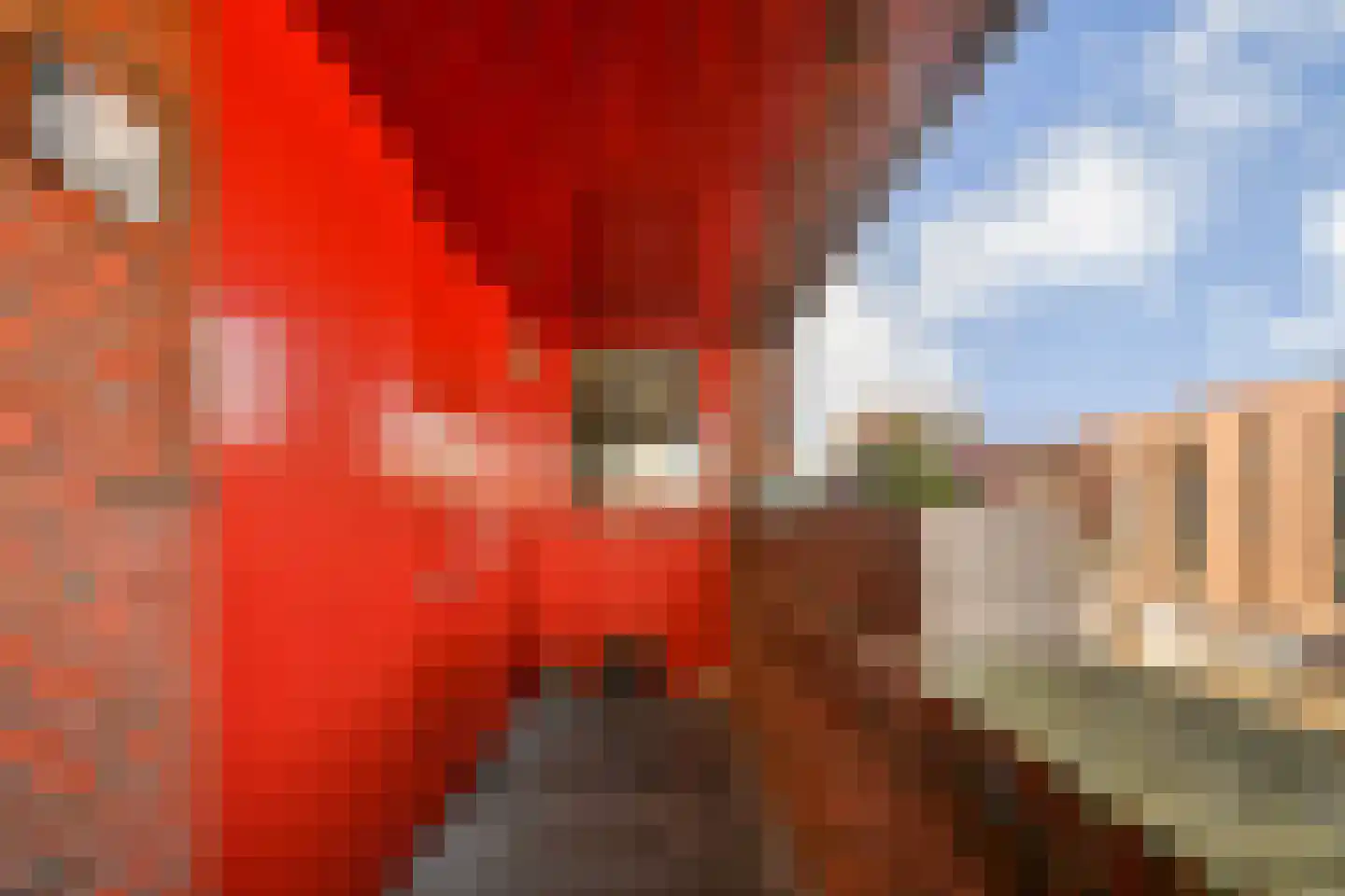Maria Austriastraat 54 Amsterdam thumbnail 35