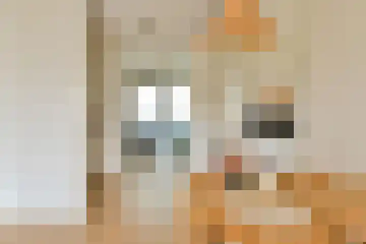 Maria Austriastraat 59 Amsterdam thumbnail 10