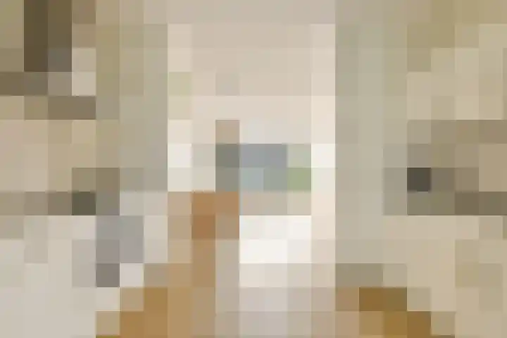 Maria Austriastraat 59 Amsterdam thumbnail 13