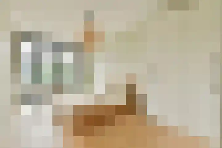 Maria Austriastraat 59 Amsterdam thumbnail 18