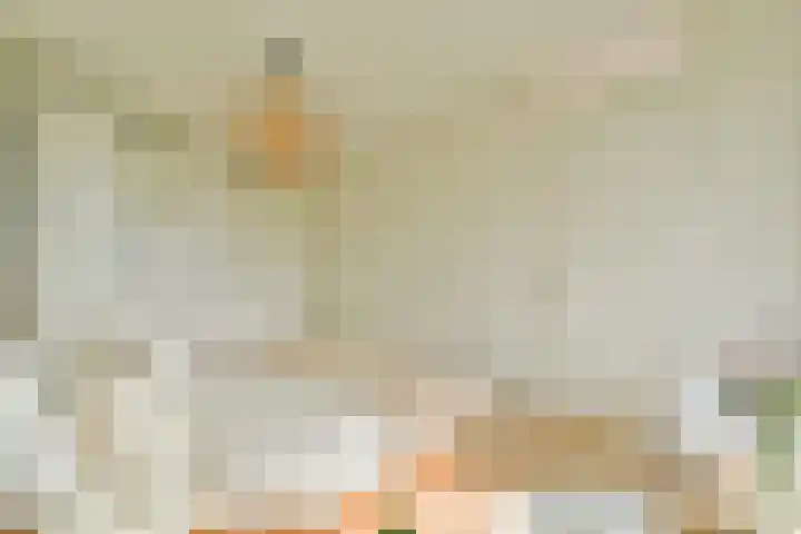 Maria Austriastraat 59 Amsterdam thumbnail 19