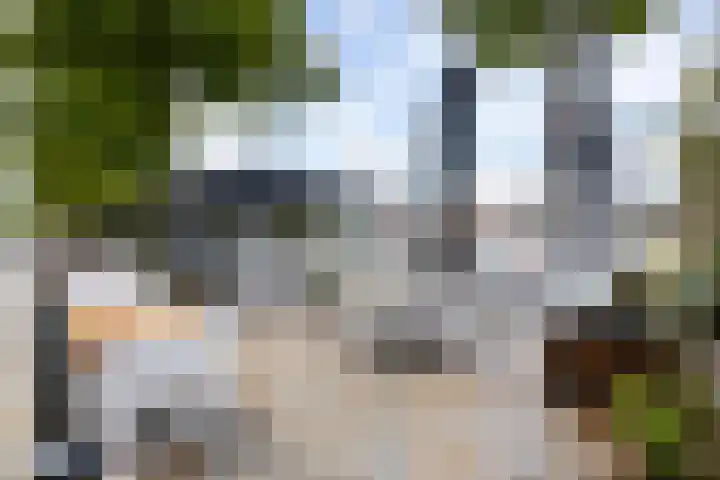 Maria Austriastraat 59 Amsterdam thumbnail 29