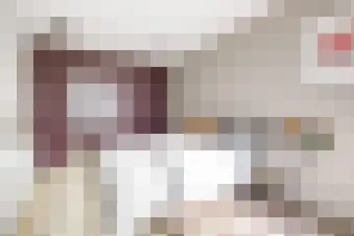 Maria Austriastraat 614 Amsterdam thumbnail 21