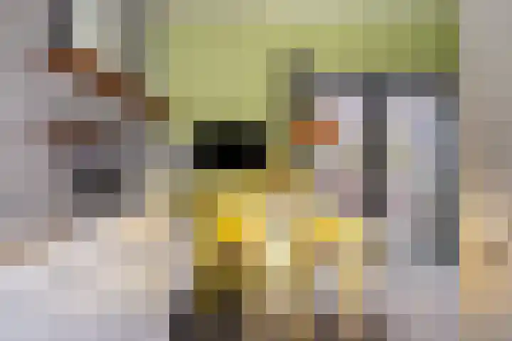 Maria Austriastraat 618 Amsterdam thumbnail 12