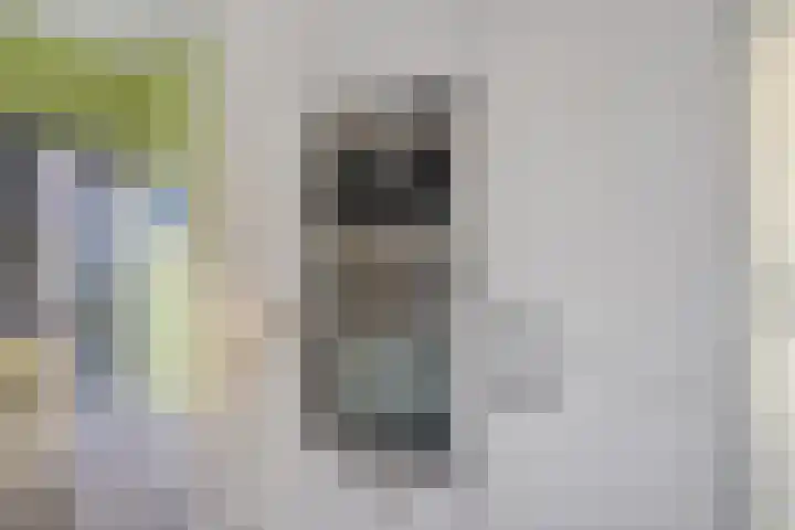 Maria Austriastraat 618 Amsterdam thumbnail 13