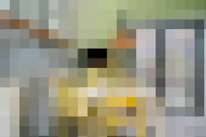 Maria Austriastraat 618 Amsterdam thumbnail 17