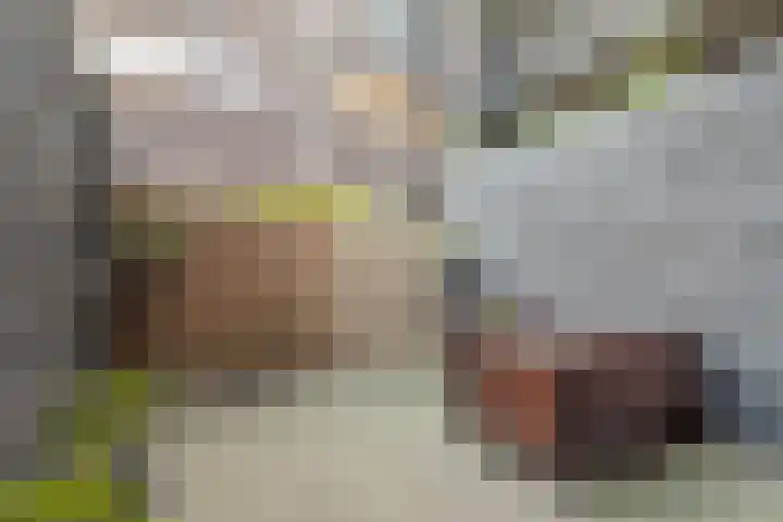 Maria Austriastraat 618 Amsterdam thumbnail 19