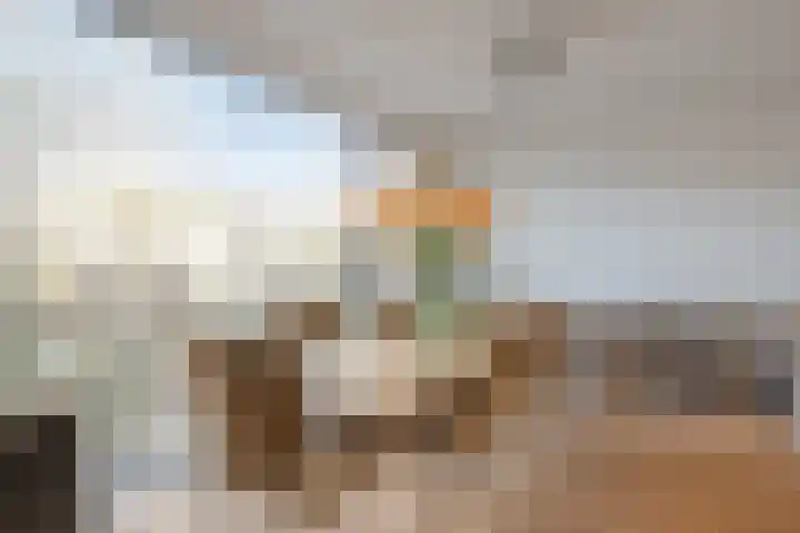 Maria Austriastraat 618 Amsterdam thumbnail 26