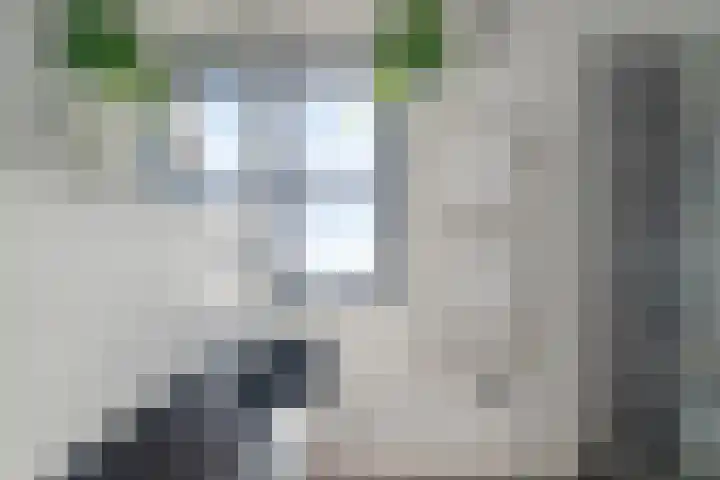 Maria Austriastraat 618 Amsterdam thumbnail 39