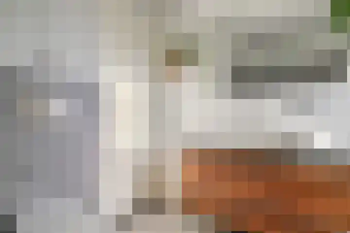 Maria Austriastraat 618 Amsterdam thumbnail 41