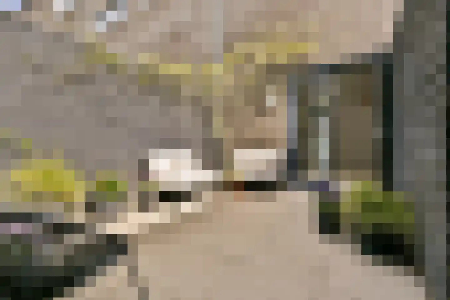 Maria Austriastraat 634 Amsterdam thumbnail 6