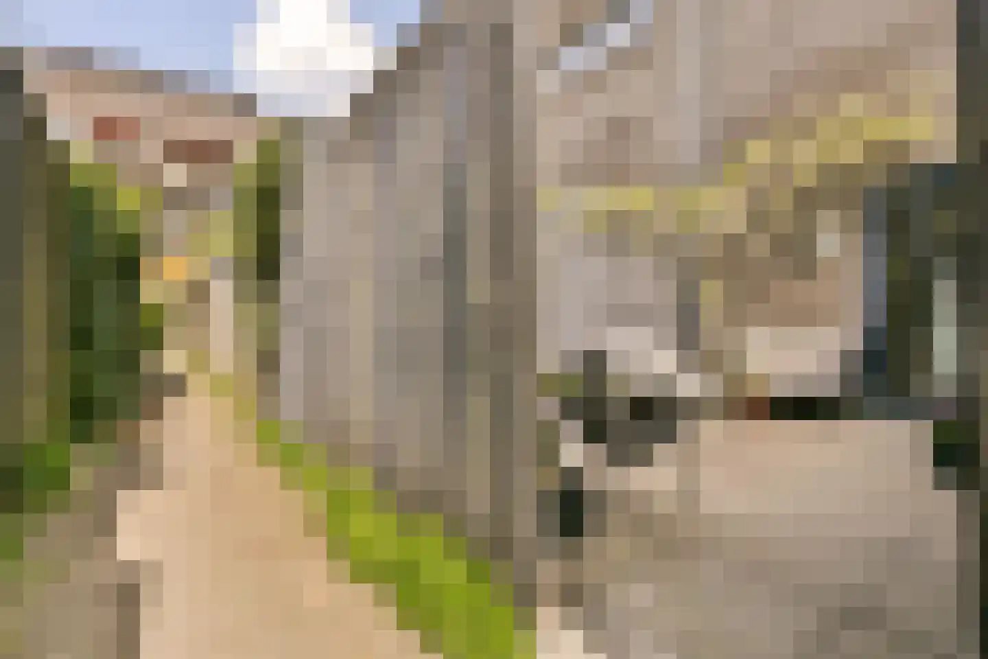 Maria Austriastraat 634 Amsterdam thumbnail 7