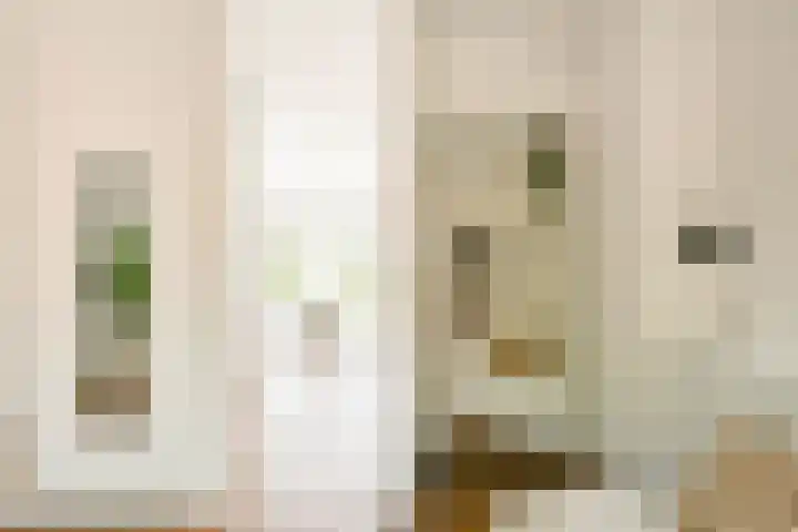 Maria Austriastraat 650 Amsterdam thumbnail 18