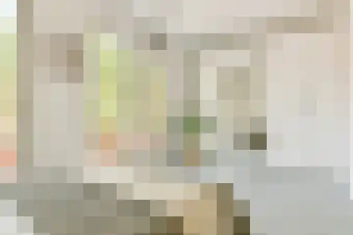 Maria Austriastraat 650 Amsterdam thumbnail 28
