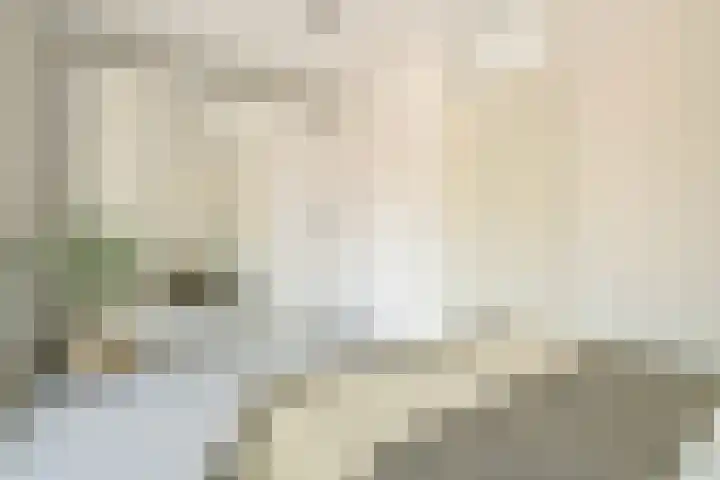Maria Austriastraat 650 Amsterdam thumbnail 29