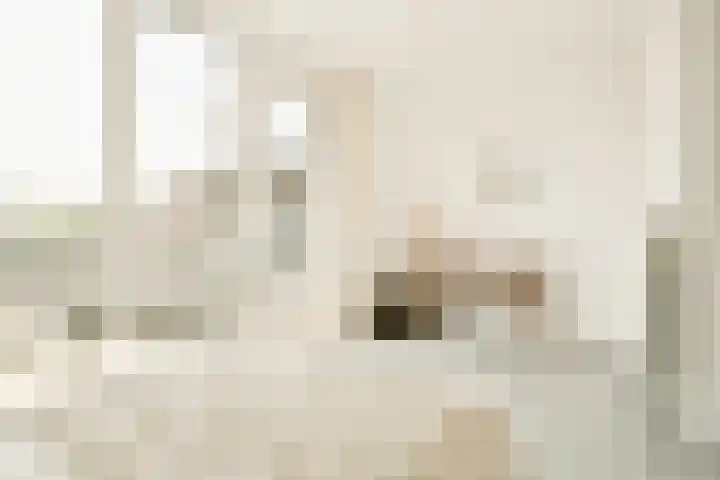 Maria Austriastraat 650 Amsterdam thumbnail 36