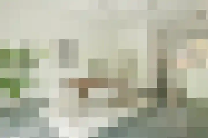 Maria Austriastraat 650 Amsterdam thumbnail 4