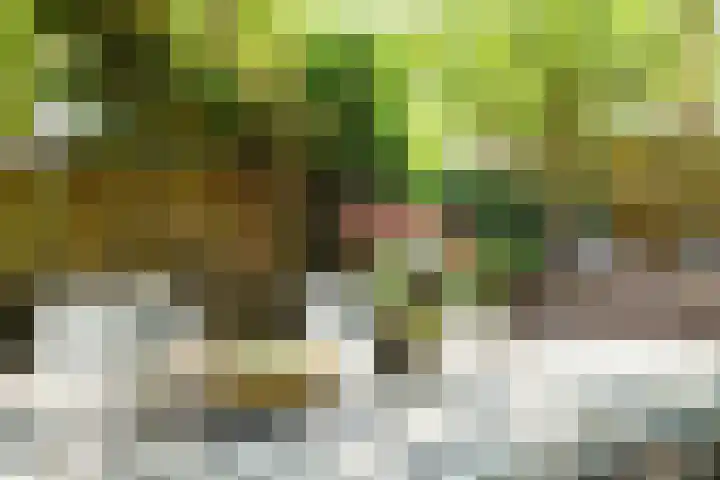 Maria Austriastraat 650 Amsterdam thumbnail 45