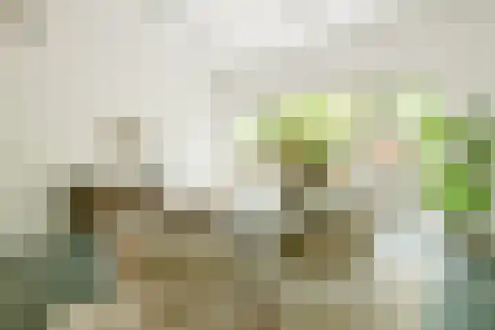 Maria Austriastraat 650 Amsterdam thumbnail 6