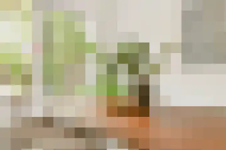 Maria Austriastraat 650 Amsterdam thumbnail 7