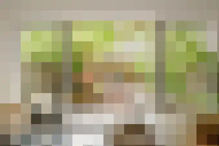 Maria Austriastraat 650 Amsterdam thumbnail 8