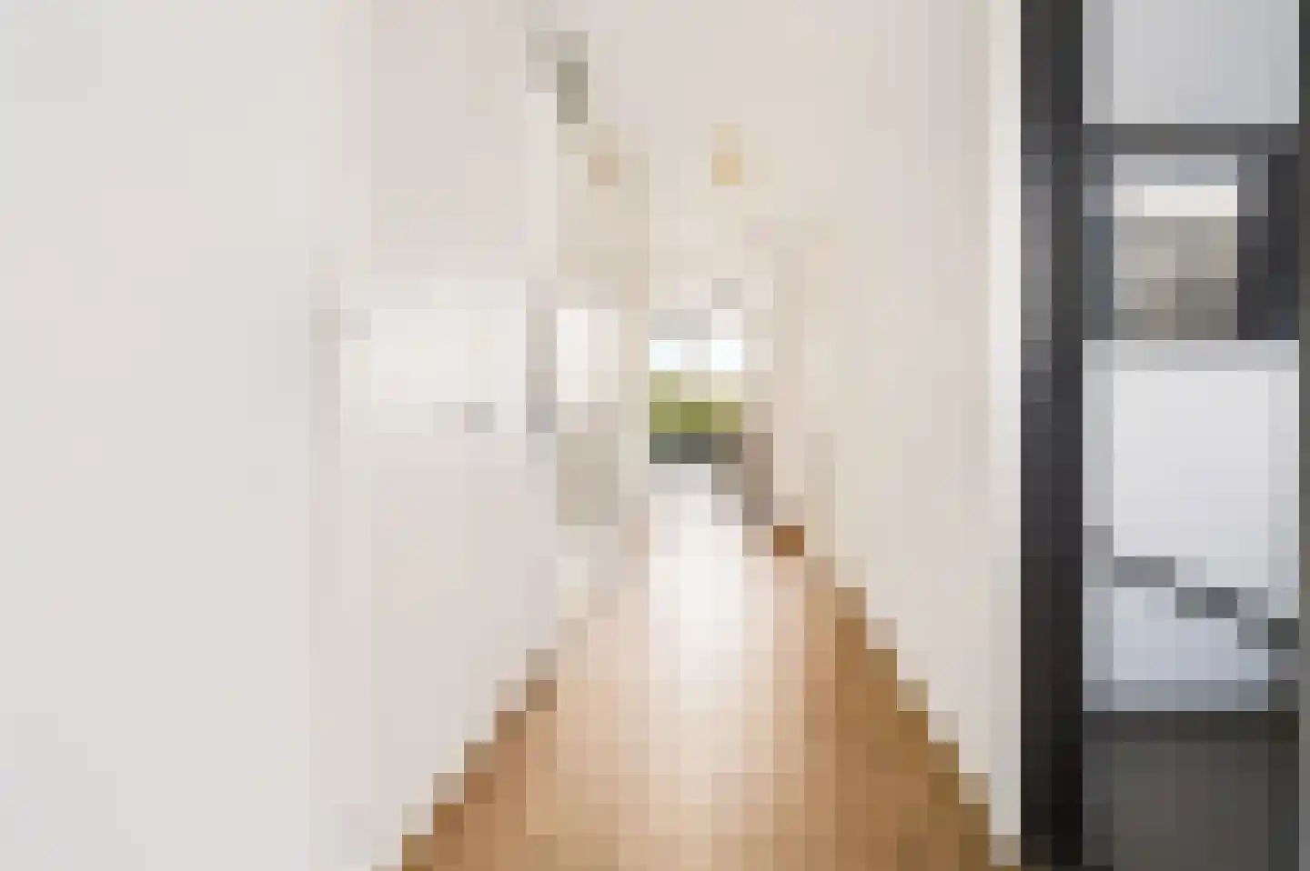 Maria Austriastraat 69 Amsterdam thumbnail 17