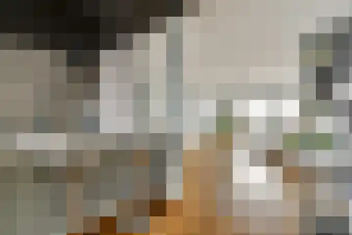 Maria Austriastraat 76 Amsterdam thumbnail 4