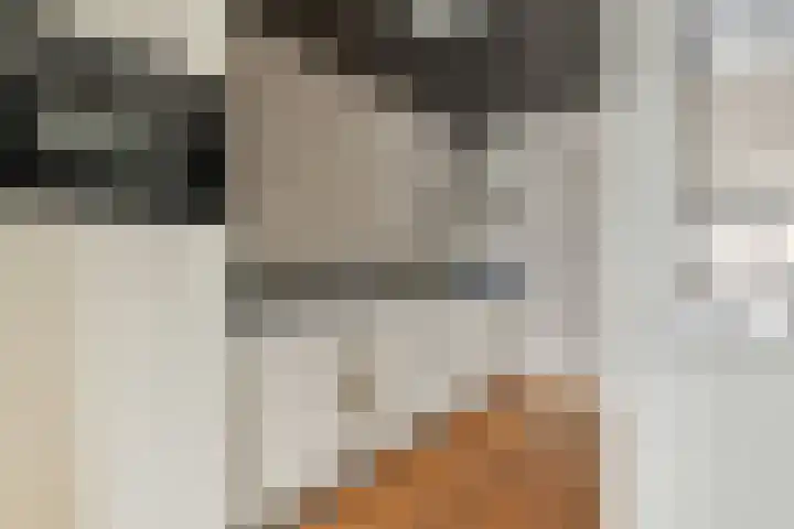 Maria Austriastraat 76 Amsterdam thumbnail 5