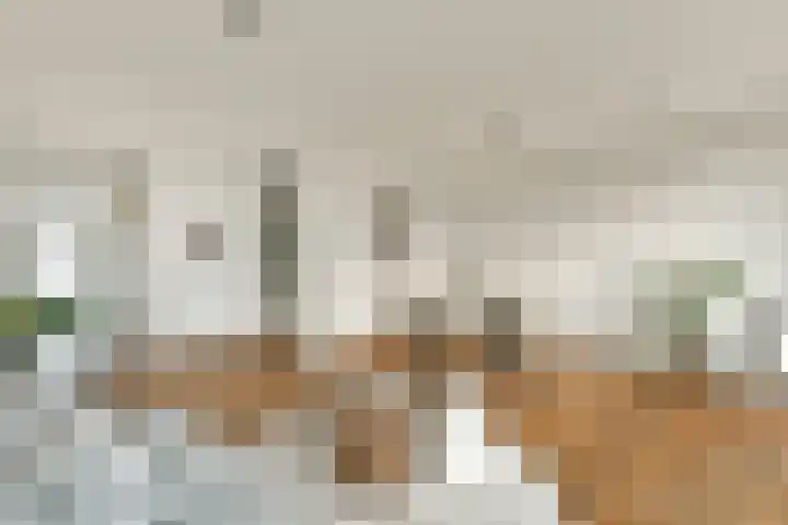 Maria Austriastraat 77 Amsterdam thumbnail 10