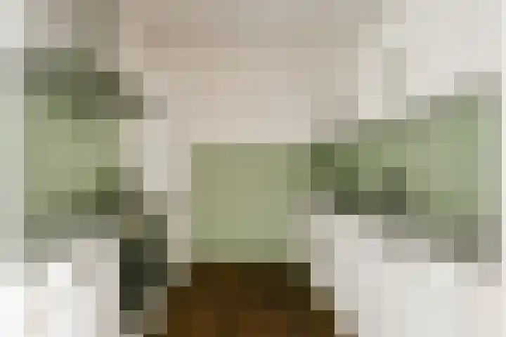 Maria Austriastraat 77 Amsterdam thumbnail 11