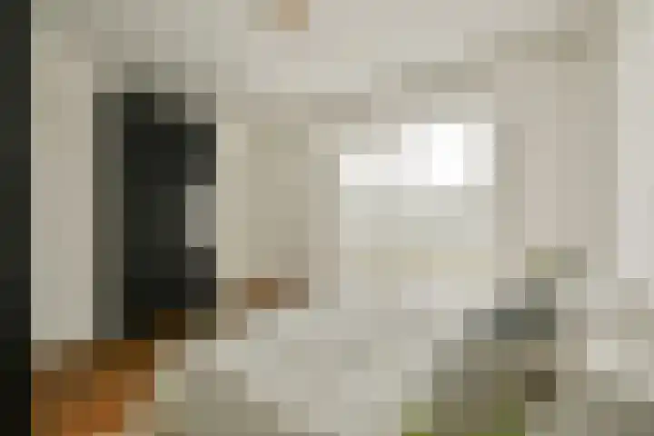 Maria Austriastraat 77 Amsterdam thumbnail 16