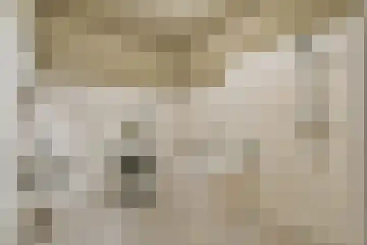 Maria Austriastraat 77 Amsterdam thumbnail 17