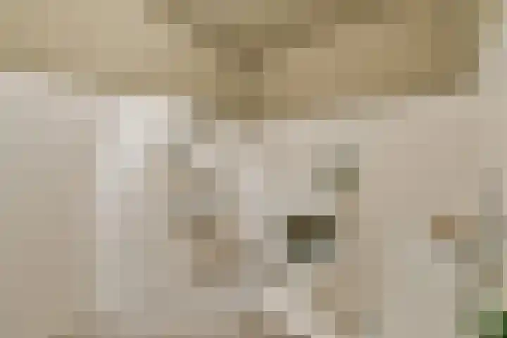 Maria Austriastraat 77 Amsterdam thumbnail 18