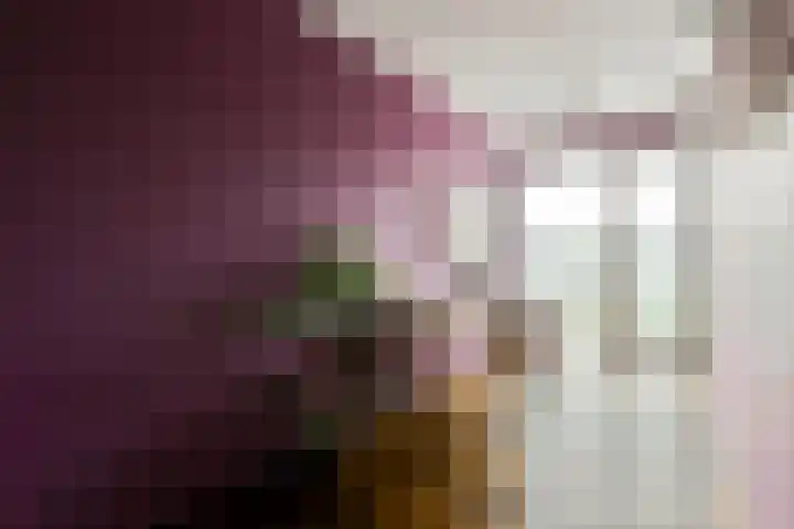 Maria Austriastraat 77 Amsterdam thumbnail 19