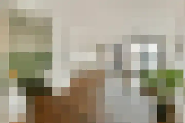 Maria Austriastraat 77 Amsterdam thumbnail 5
