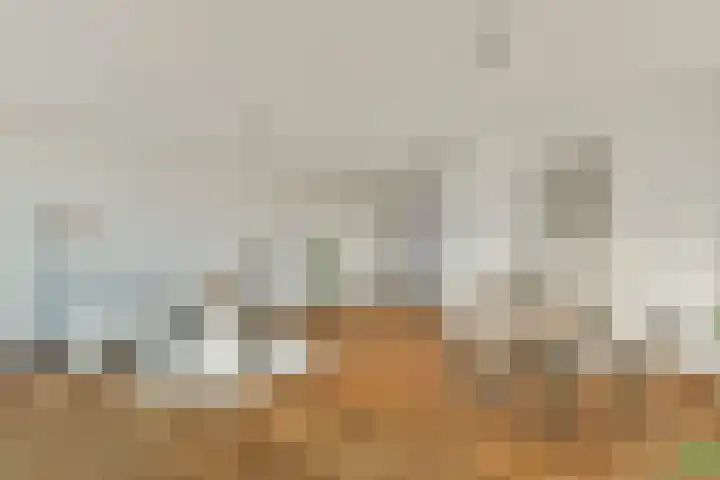 Maria Austriastraat 77 Amsterdam thumbnail 8