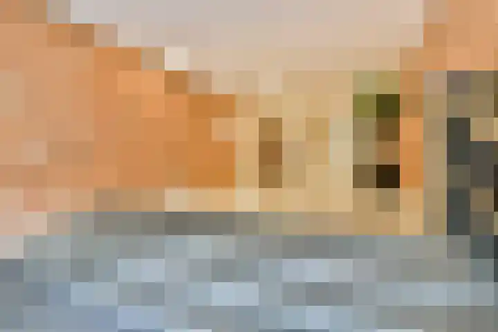 Maria Austriastraat 79 Amsterdam thumbnail 19