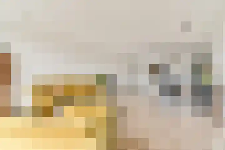 Maria Austriastraat 79 Amsterdam thumbnail 6