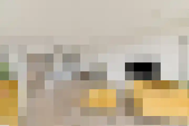 Maria Austriastraat 79 Amsterdam thumbnail 7
