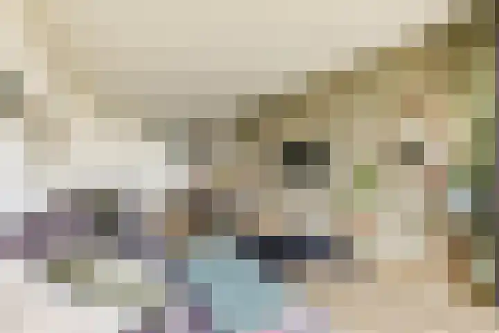 Maria Austriastraat 85 Amsterdam thumbnail 10