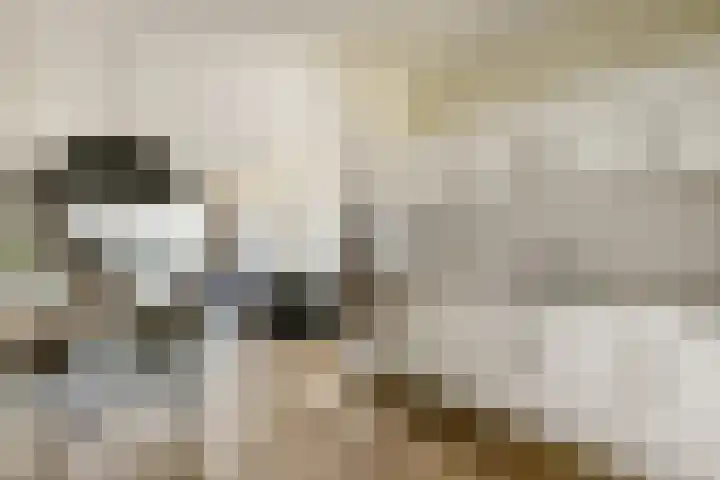 Maria Austriastraat 85 Amsterdam thumbnail 11