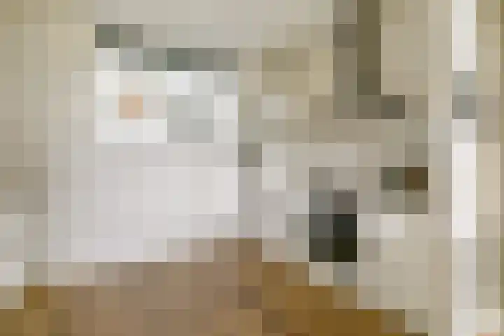 Maria Austriastraat 85 Amsterdam thumbnail 12