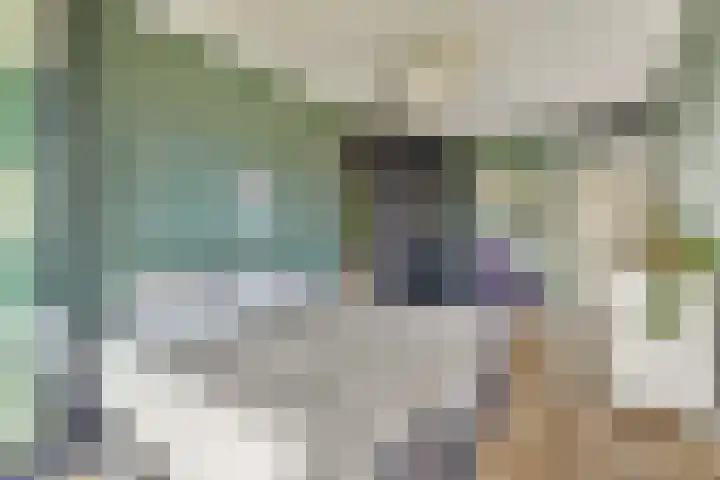 Maria Austriastraat 85 Amsterdam thumbnail 16