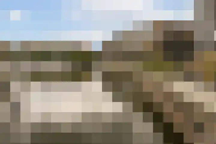 Maria Austriastraat 85 Amsterdam thumbnail 22