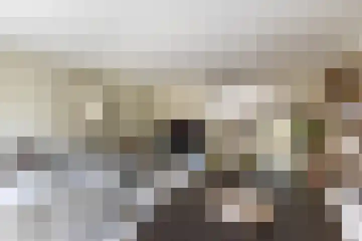 Maria Austriastraat 853 Amsterdam thumbnail 11