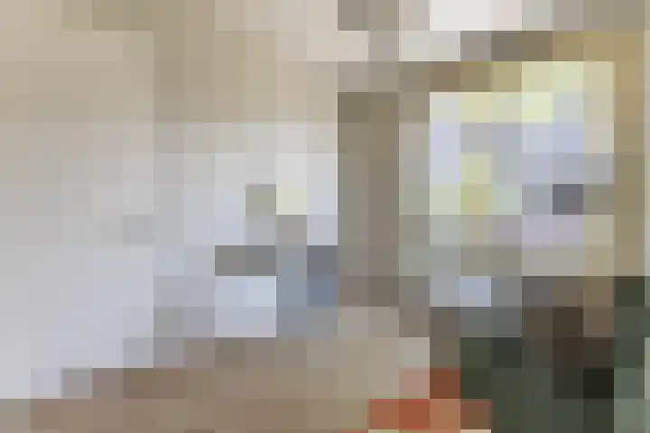 Maria Austriastraat 853 Amsterdam thumbnail 19