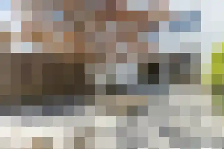 Maria Austriastraat 853 Amsterdam thumbnail 33